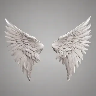 wings transparent background