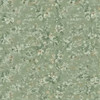 sage green wallpaper iphone
