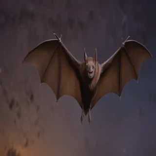 images of bats for halloween