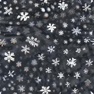 snow transparent background
