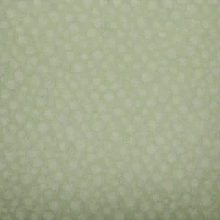 green & white background