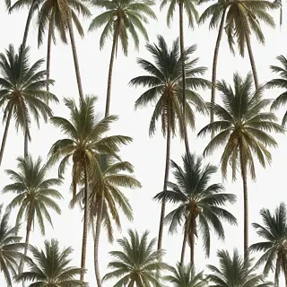 palm trees transparent