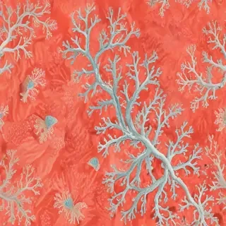coral color