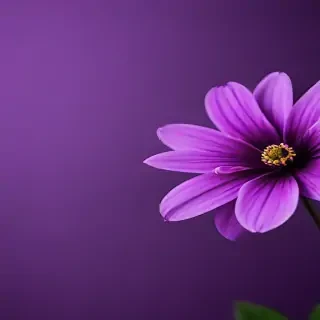 purple flower iphone wallpaper