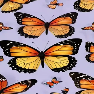 butterfly clipart png
