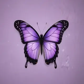 aesthetic purple butterfly