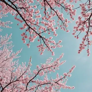 aesthetic spring wallpaper