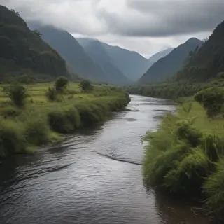 png river