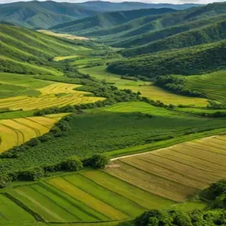 farmland png