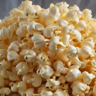png popcorn