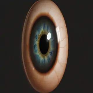 eyeball png