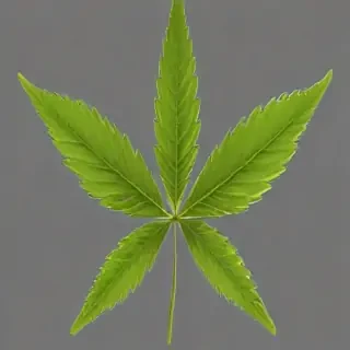 marijuana leaf transparent background
