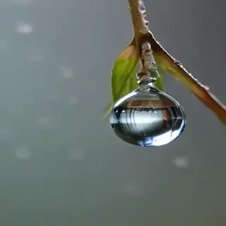 water droplets transparent