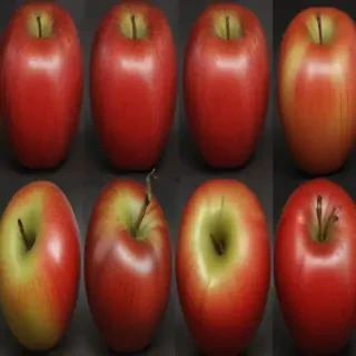 drawn apples