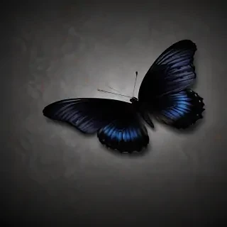 black butterfly wallpaper