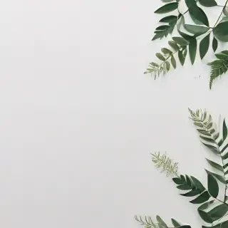white background aesthetic