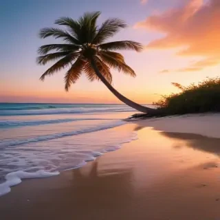 aesthetic beach photos