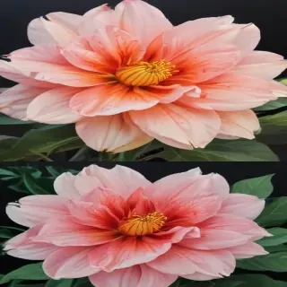aesthetic flower painting