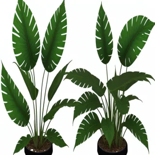 aesthetic plants png