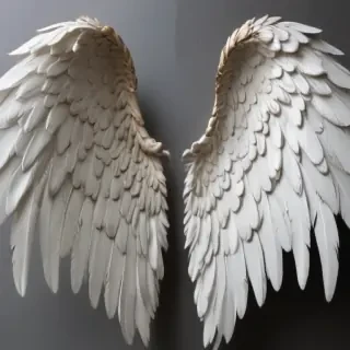 picture of angel wings