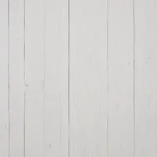 white wood background