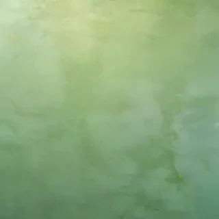 light green background plain