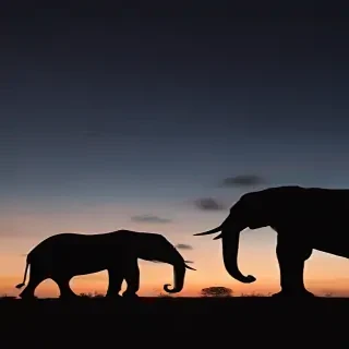 elephant silhouette