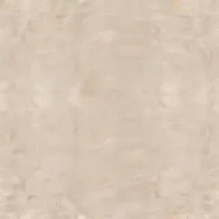 neutral background