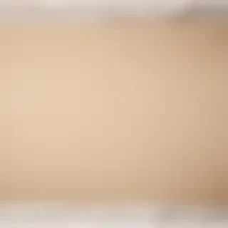 ripped paper png transparent