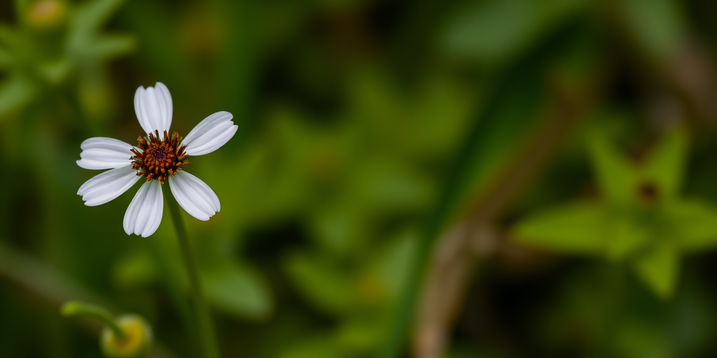 photograph of a single wildflower with white petals and a brown center, background slightly blurred with green foliage, taken with a Canon EOS R5, 50mm lens, aperture f/2.8, ISO 100, shutter speed 1/200s, macro view for enhanced detail and sharpness.