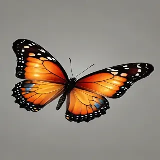 png butterfly