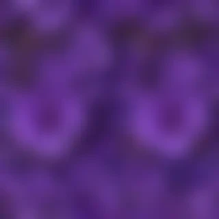 purple flowers background