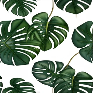 monstera leaf png