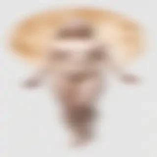 venus transparent background
