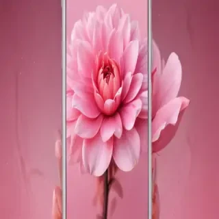 cute pink wallpapers for iphone