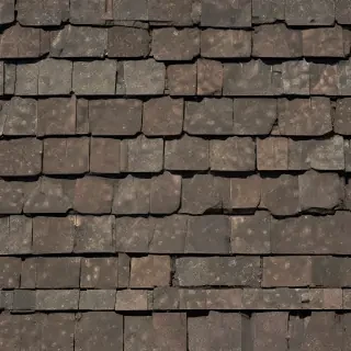 shingles images
