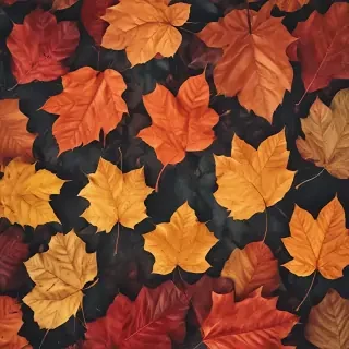 autumn leaves iphone wallpaper