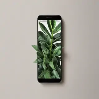 plant phone wallpaper