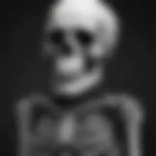 skeleton iphone wallpaper