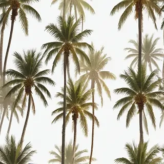 palm trees transparent