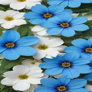 blue flowers background