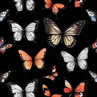 butterflies in black background
