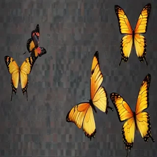 butterfly background transparent