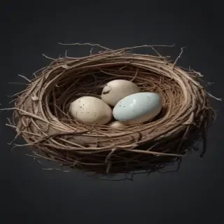 birds nest png