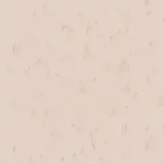 aesthetic neutral wallpaper