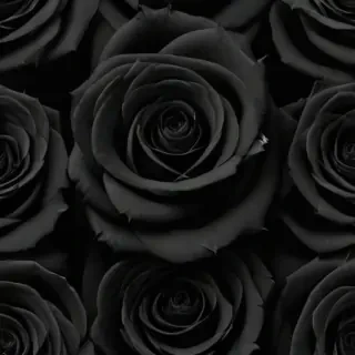black roses background