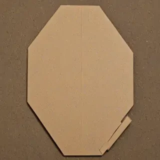 octagon shape