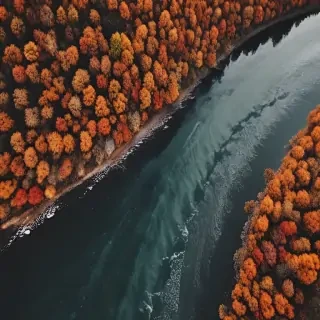 fall aesthetic wallpaper iphone