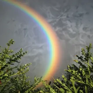 transparent rainbow