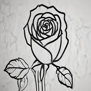 rose outline